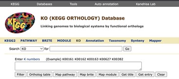 KEGGOrthology