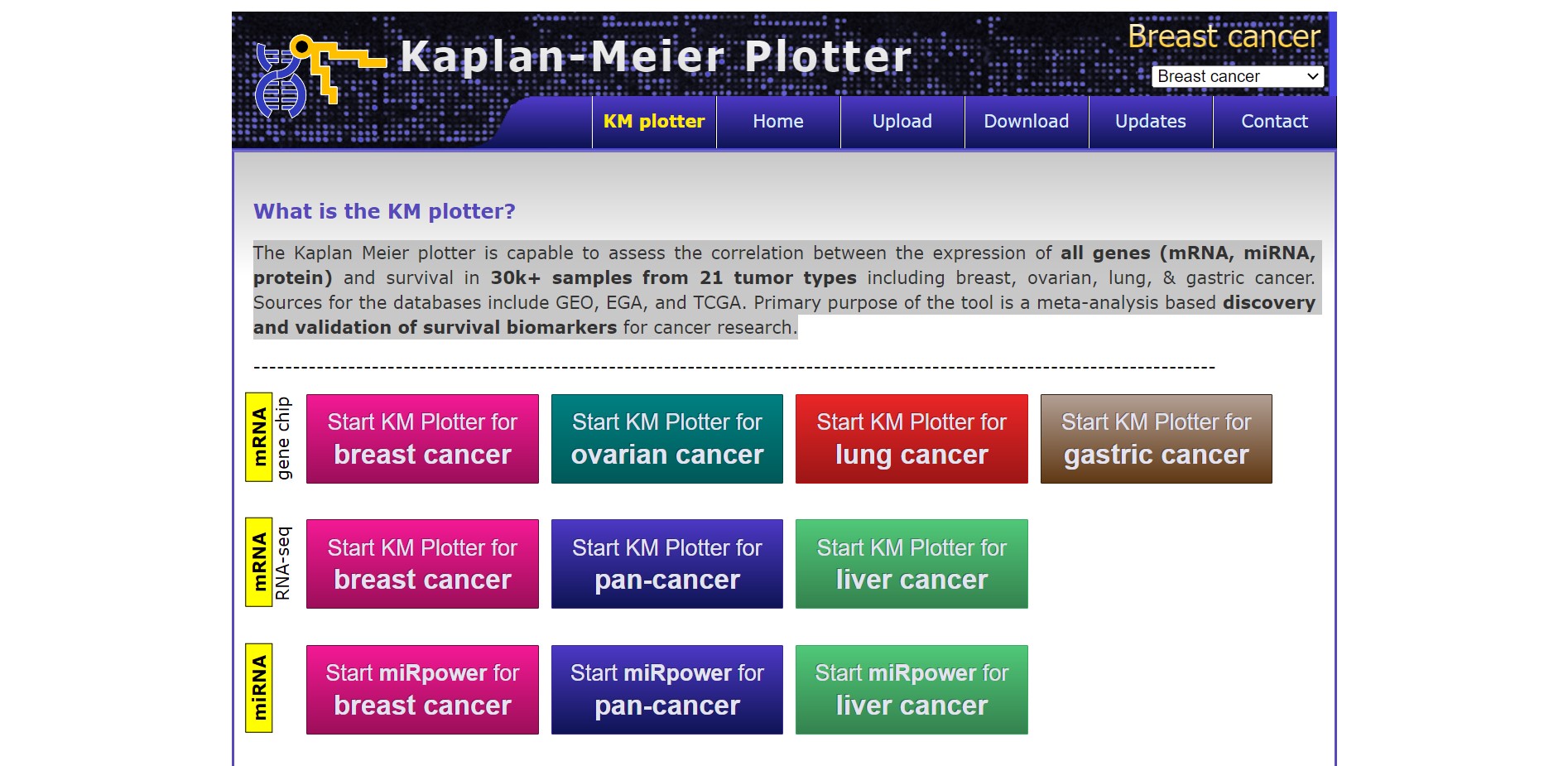 KM plotter