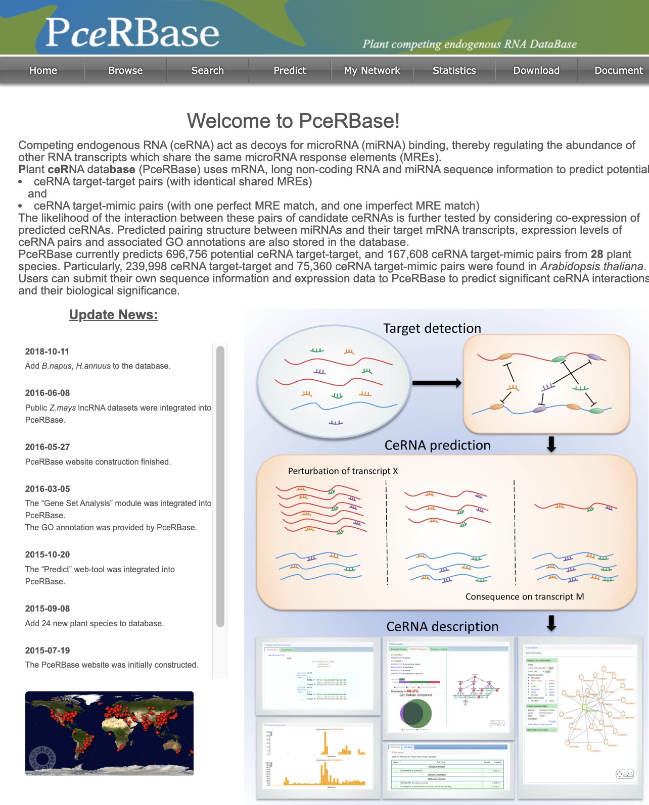 PceRBase1