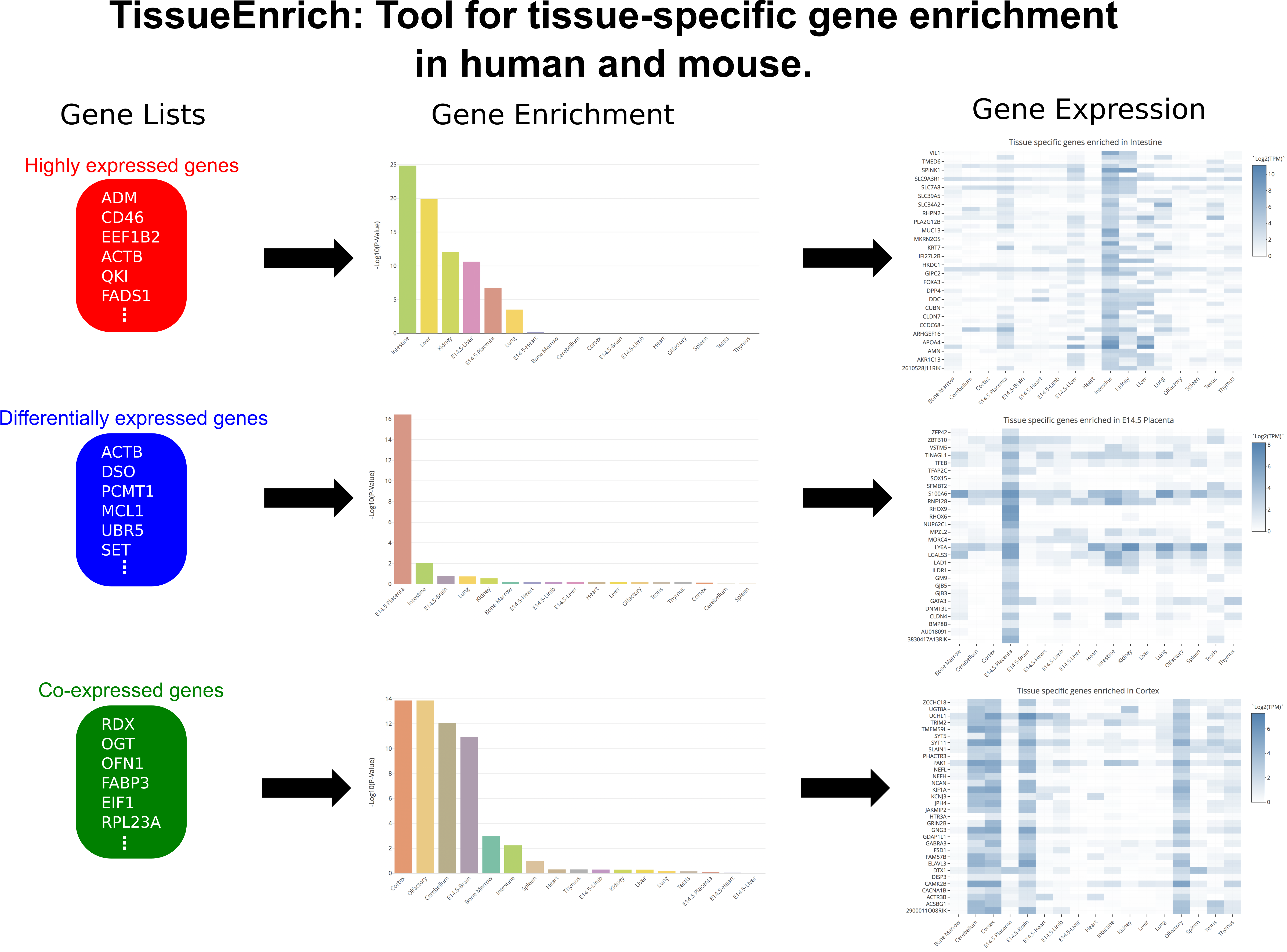 TissueEnrich