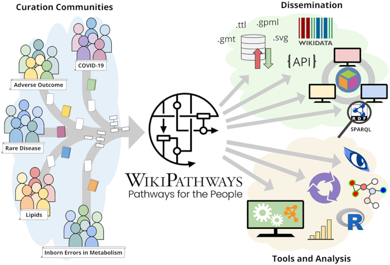 WikiPathways2