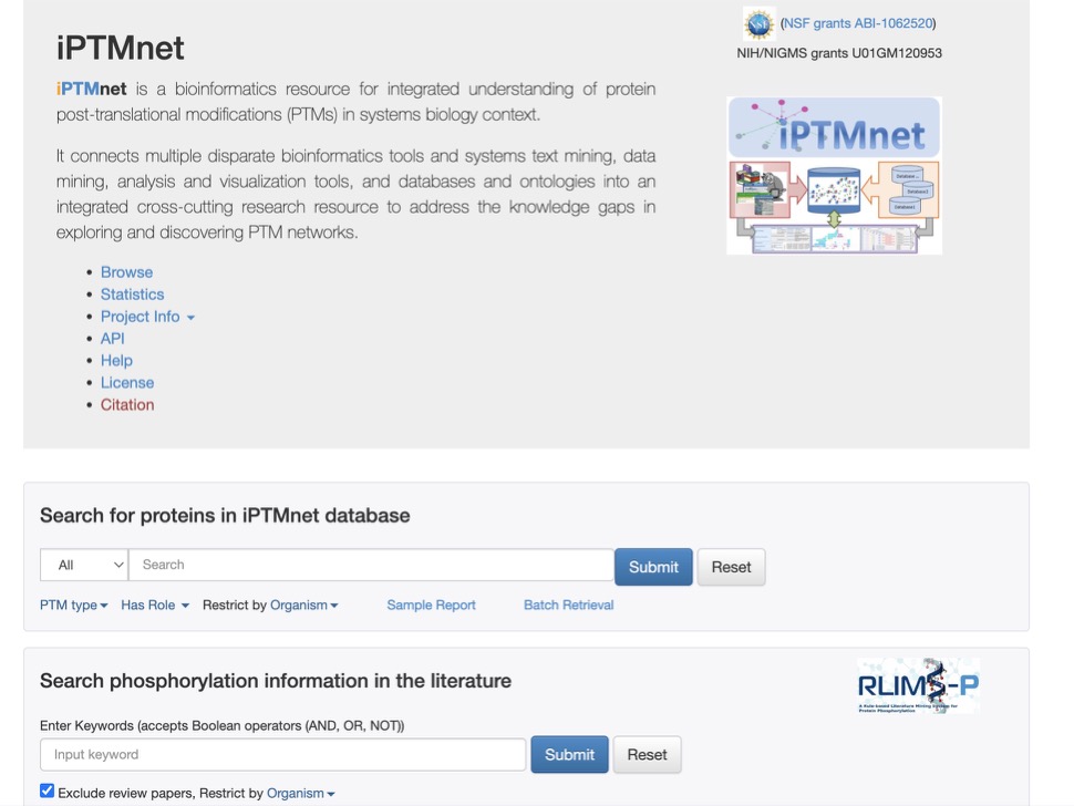 iPTMnet1