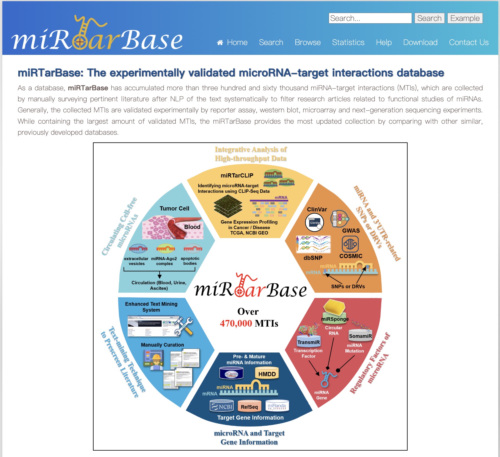 miRTarbase1